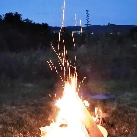 La Livada Valea Danului